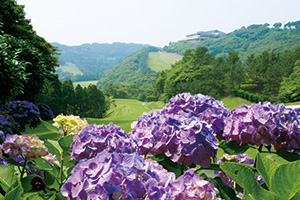 葉山国際カンツリー倶楽部