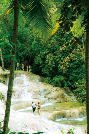 ジャングルの中に突如出現する渓谷のような川を水着でトレッキング。